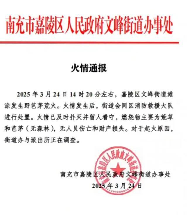 大火1个重要情况曝光让人不得不多想！爱游戏app登录说说南充嘉陵江边这场(图6)